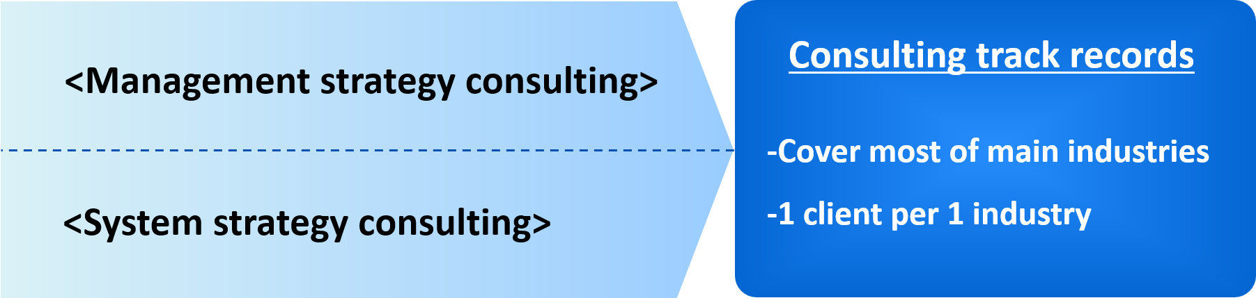 Tokyo Consulting Inc's solutions